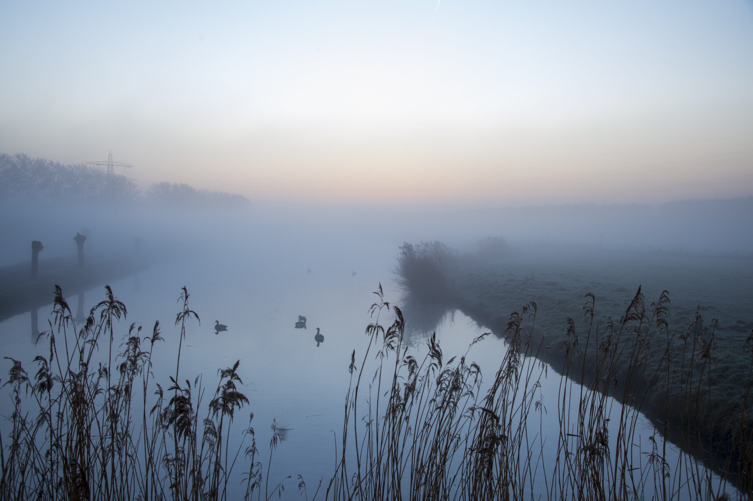 Klimaat, duurzaamheid en energie
