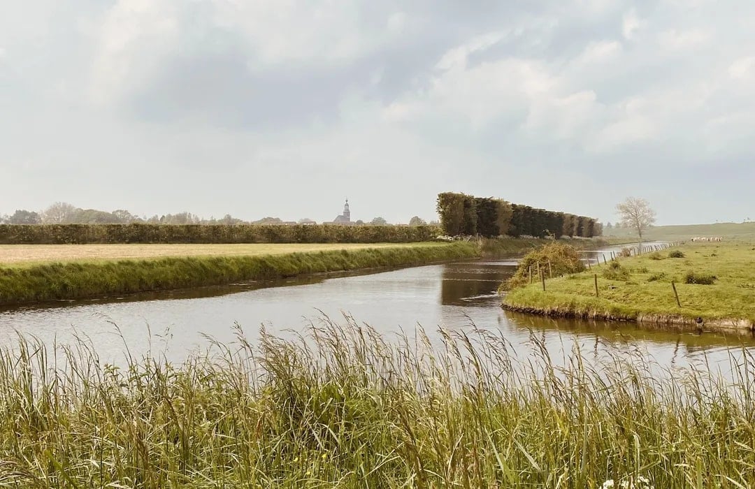 Wie komt er op voor de natuur?