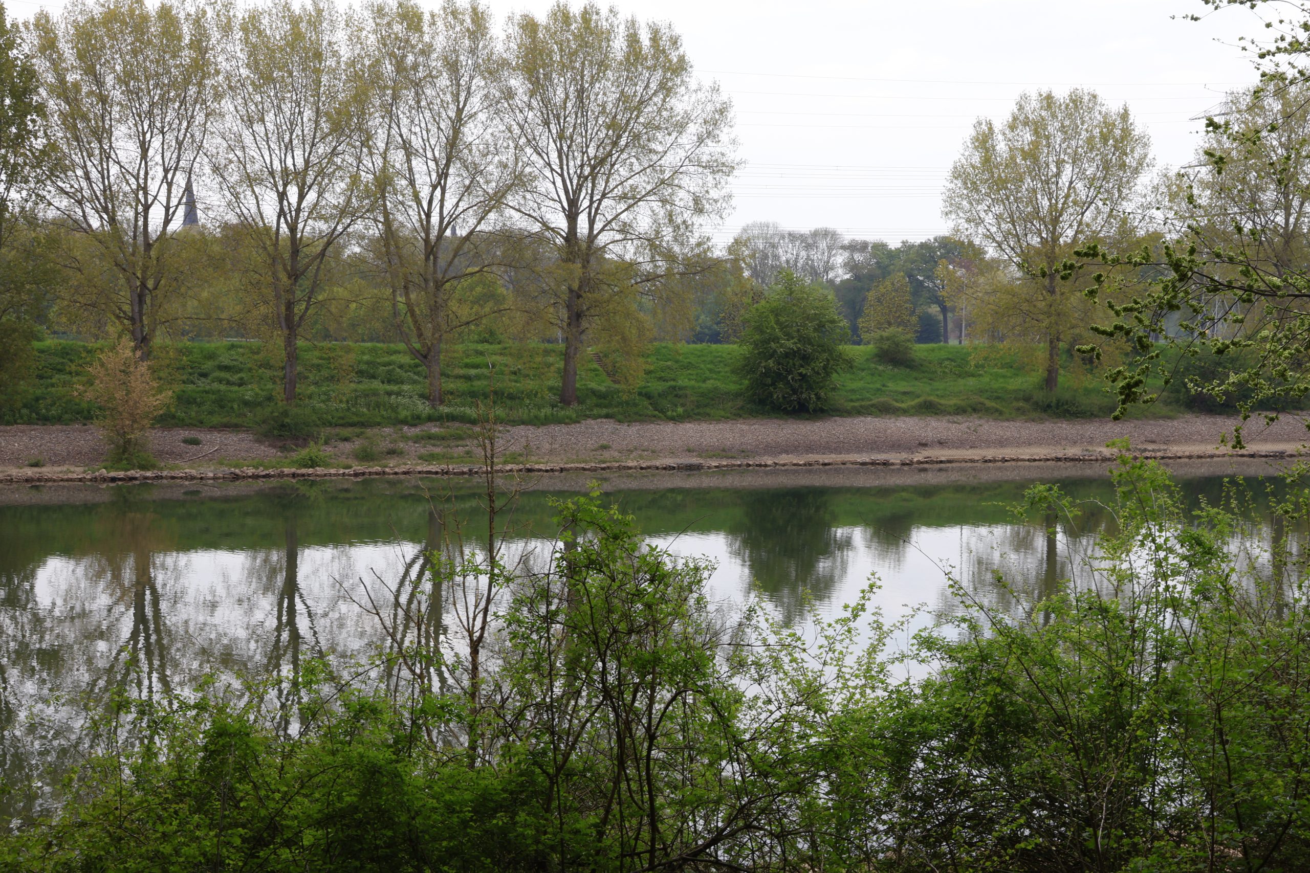 De Weerd droog? Dan ook Horn droog!