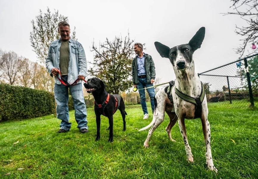 Brian Claassen (SP) en Léon Derksen (D66) met hun honden