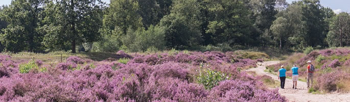 wandelen-in-utrecht