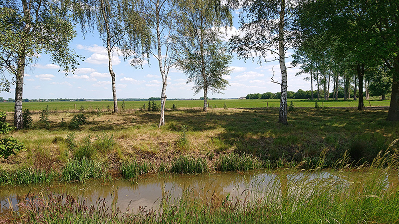 Het plangebied voor het zonnepark Eesveen op de Eesveense Hooilanden gezien vanaf Eeserwold.