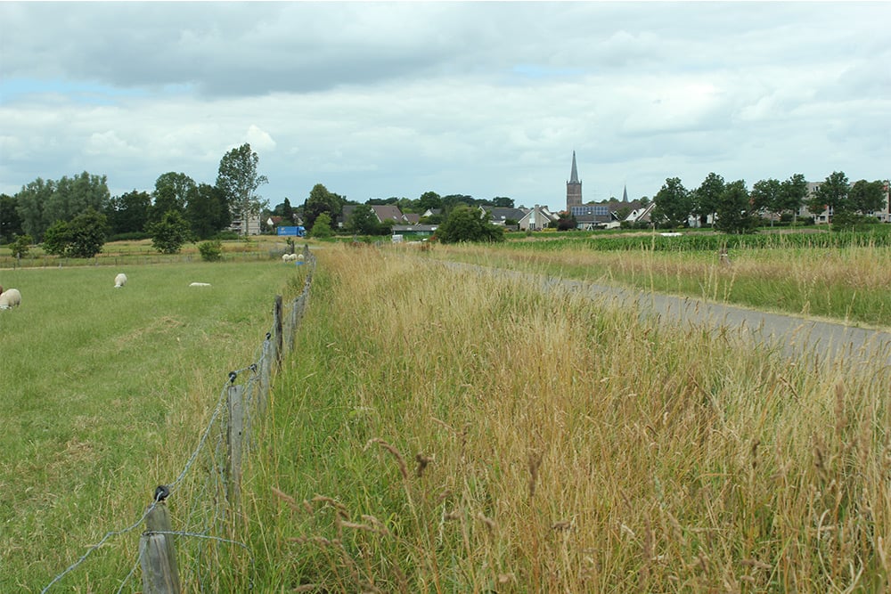 De Steenwijker Kamp met stad Steenwijk op de achtergrond.