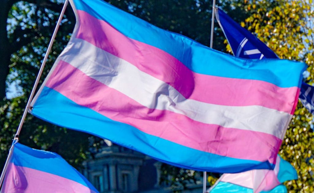 Een foto van de transgendervlag