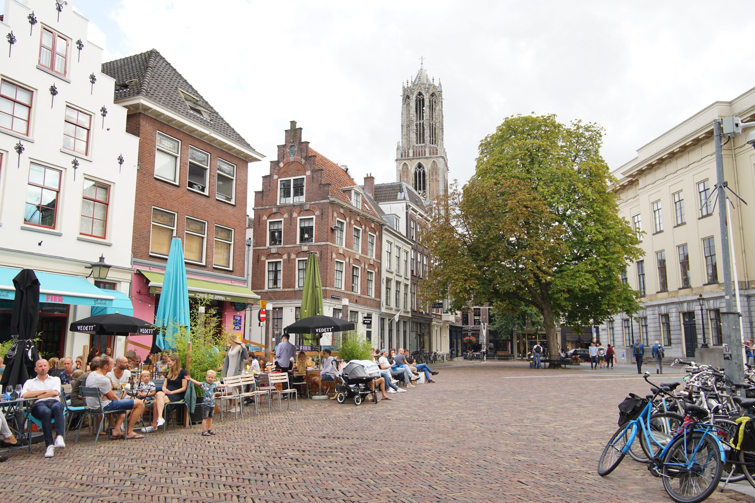 D66 Utrecht — Start nu met vormgeven Utrechtse zomer.
