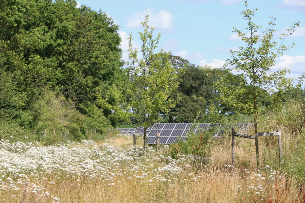 Solarpark "De Kwekerij"