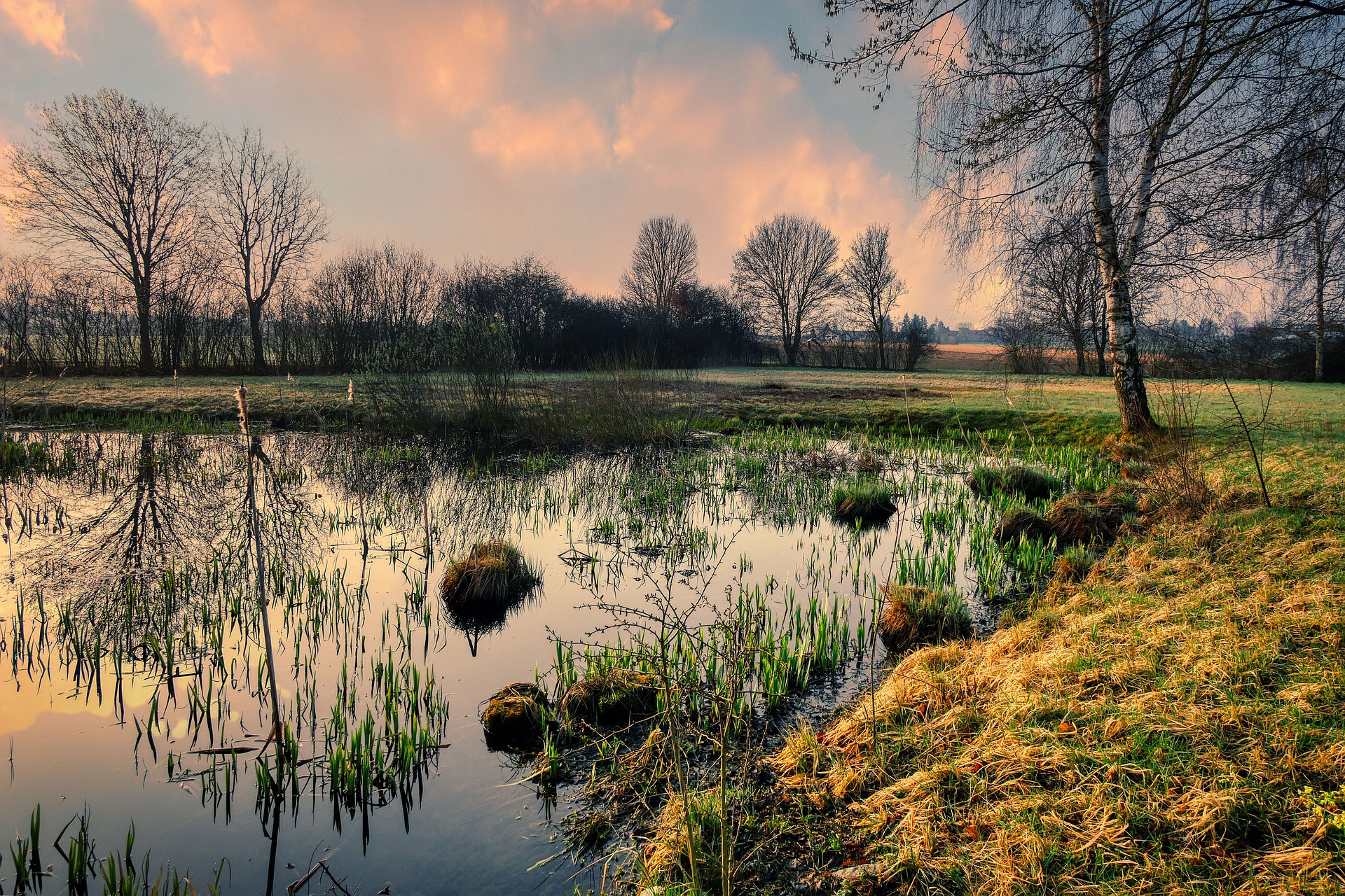 Zorg voor natuur en een gezonde leefomgeving